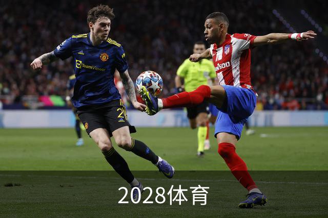 2028体育公司环境